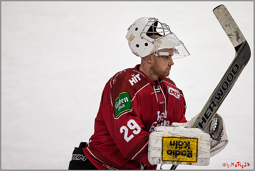 DEL, Koelner Haie - Red Bull Muenchen, 03.01.2017